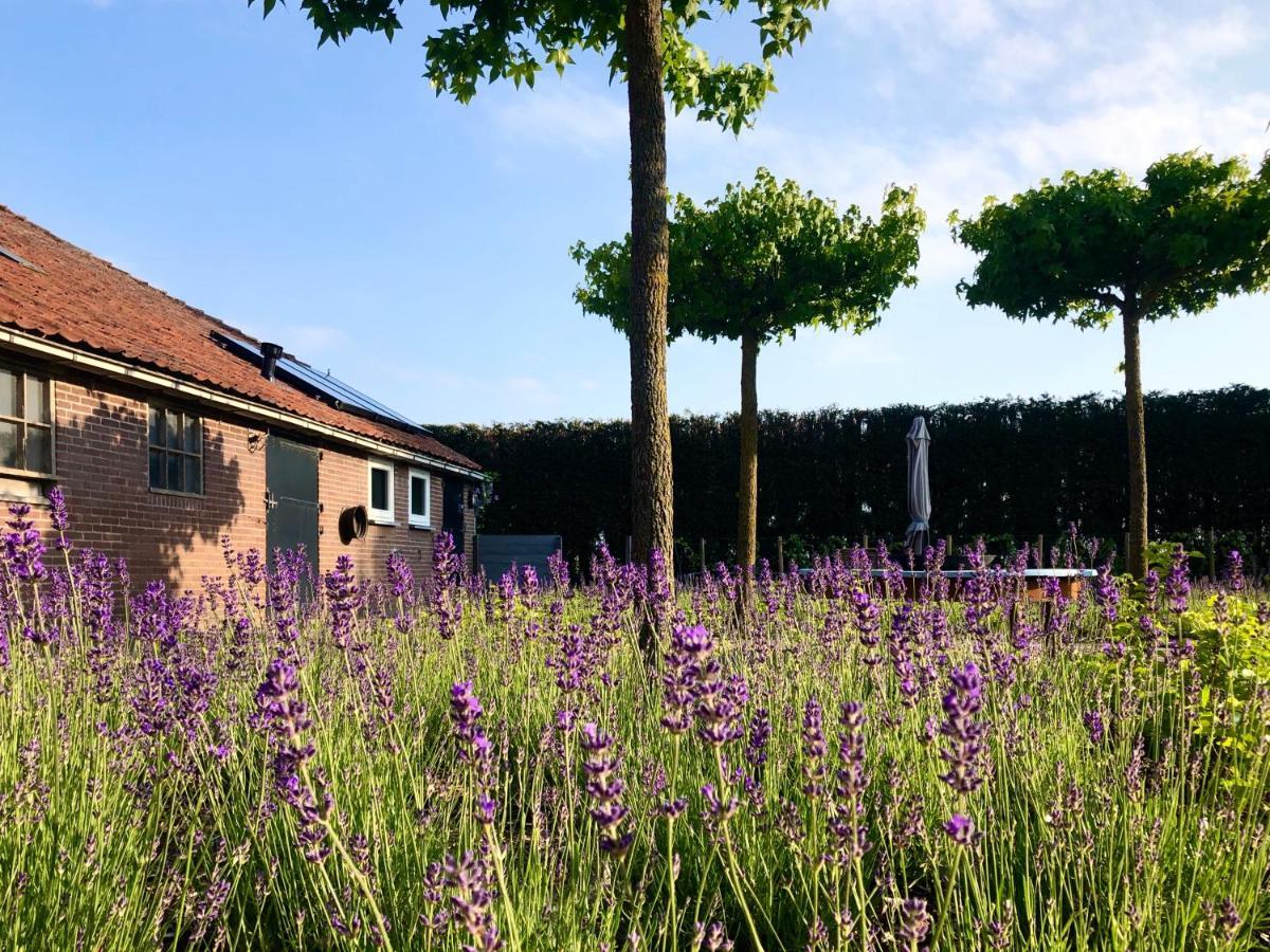 Lavender Lodge Achthuizen Exterior foto